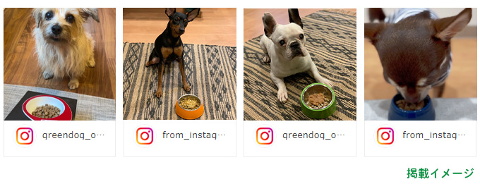 1年間掲載イメージ