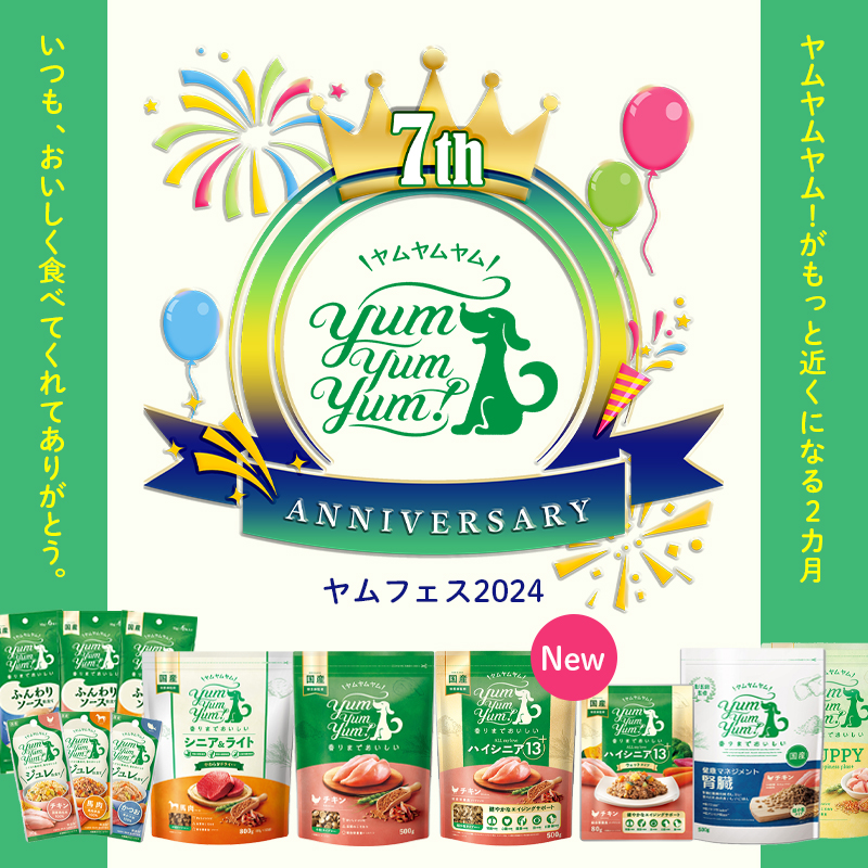 yum yum yum!7周年ヤムフェス