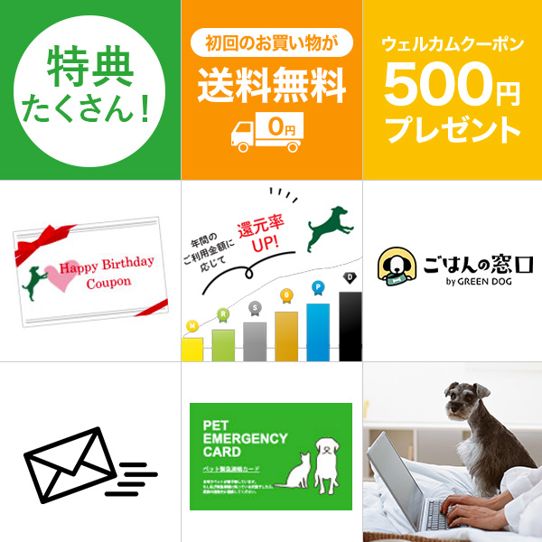 GDCCLUBメンバー特典