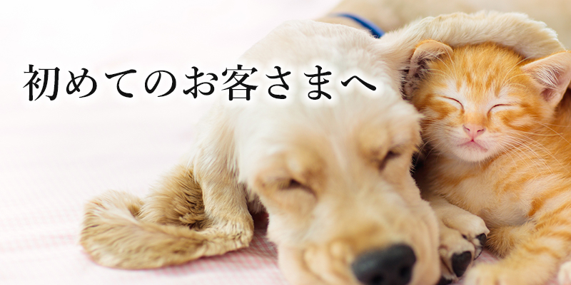 初めてのお客さまへ