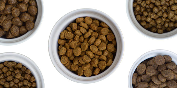 フードお試しセット