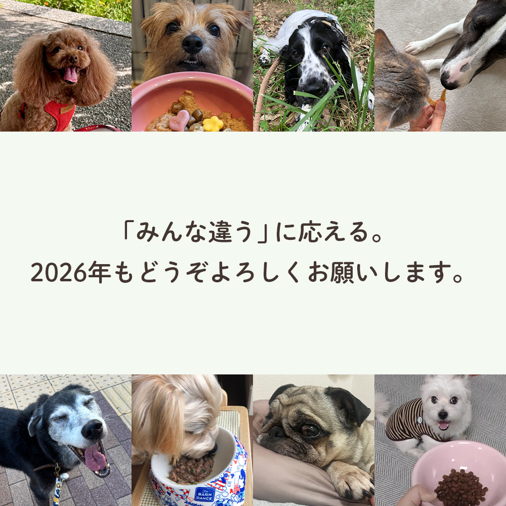 ラストイメージ