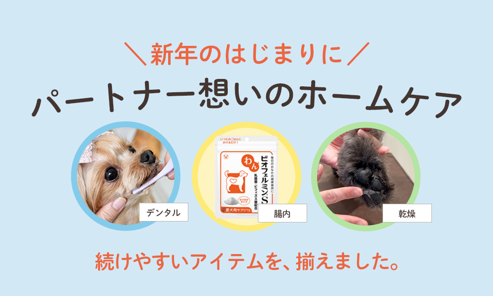 はじめよう！2026年を楽しむホームケア