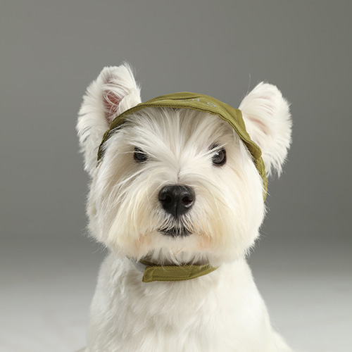 PEHOM　テニスハット