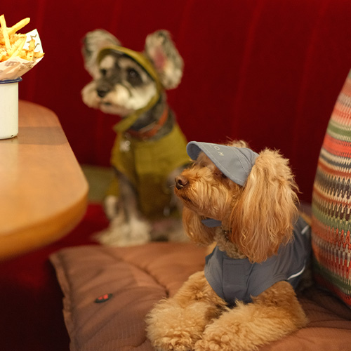 PEHOM　テニスハット