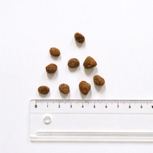 デイリープロ　アダルトミニ　ヘルシーダイジェスチョン フィッシュ（小粒）　粒