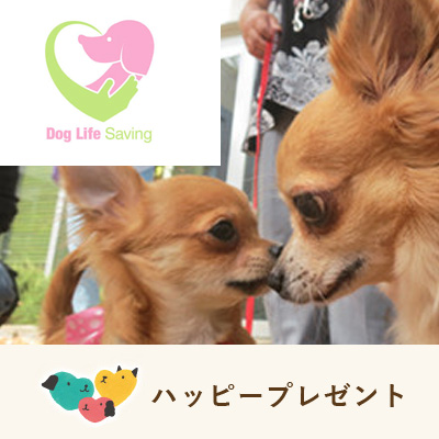 ハッピープレゼント　ドッグライフセイビング