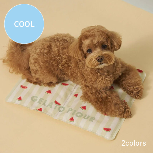 CAT&DOG サマーモチーフ柄Coolingジェルマット