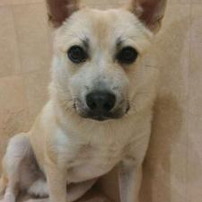 レオナルドくん