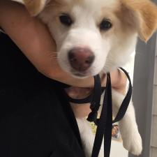 茱(グミ)ちゃん