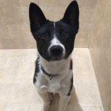 勉(ツトム)くん