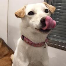 ミルキーちゃん