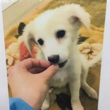 イヴェリーちゃん