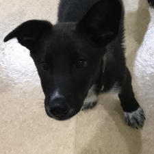 ネラルーちゃん