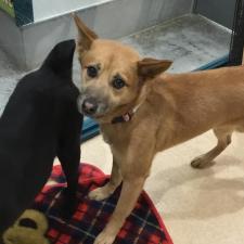 エイソスちゃん