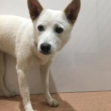 マイランちゃん