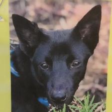 フローヴァくん