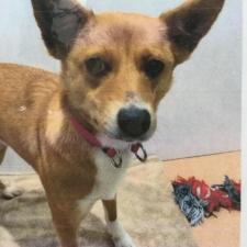 ベルメールちゃん