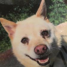 エミリーちゃん