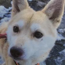 ビューティーちゃん