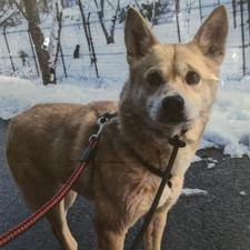 マーガリンちゃん