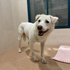 フォンティナちゃん