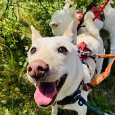 ウェナッチちゃん