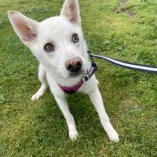 リルカーラちゃん