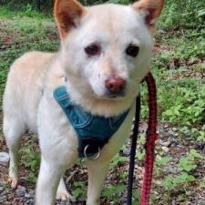 シャンベリーちゃん