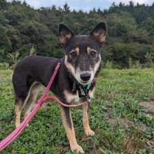 アンジェロちゃん