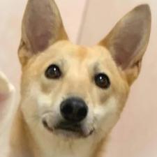 ウォーカーくん