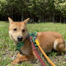 ヒメココスちゃん