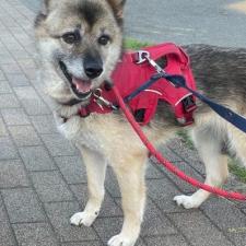 エイシュンちゃん