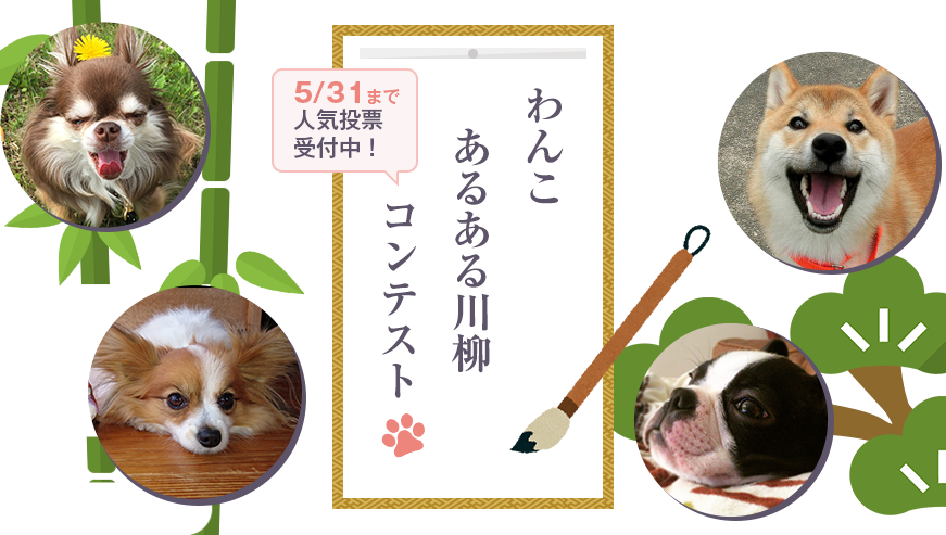 Green Dog 創業祭 15th Anniversary わんこあるある川柳コンテスト